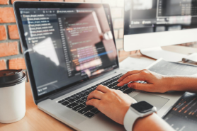 Web Development