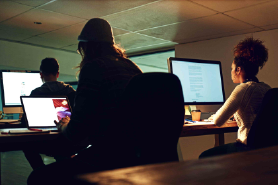 Web Development